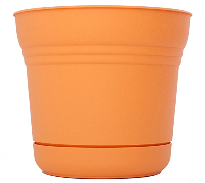 Bloem SP1220-6 6-Pack Saturn Planter, 12-Inch, Tequila Sunrise