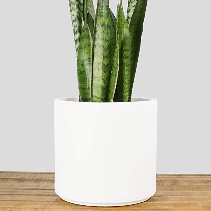 Indoor Flower Pot | Large Modern Planter, Terracotta Ceramic Plant Pot - Plant Container Great for Plant Stands (10.5 inch, White)