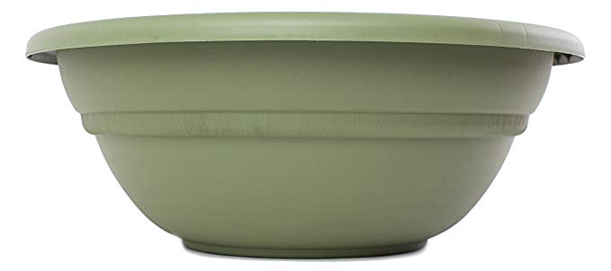 Bloem MB2124-42 Milano Planter Bowl, 24-Inch, Living Green