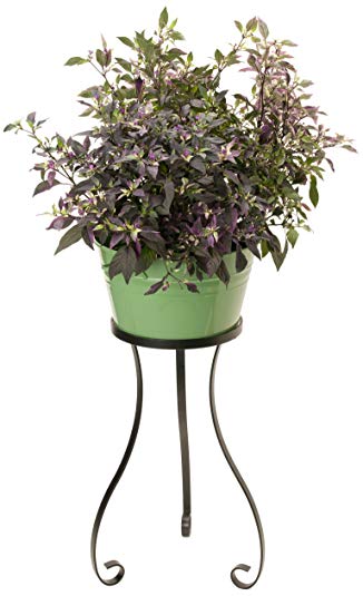 HIT 6586E SA Raised Planter with Iron Stand, 13.5 by 31-Inch, Sage