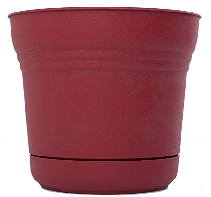 Bloem SP1212-6 6-Pack Saturn Planter, 12-Inch, Union Red