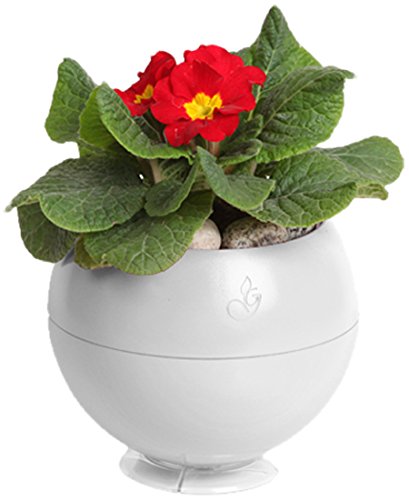 Greenbo Greenball by self watering wall, table and ceiling herb planter Color White - pack of 3