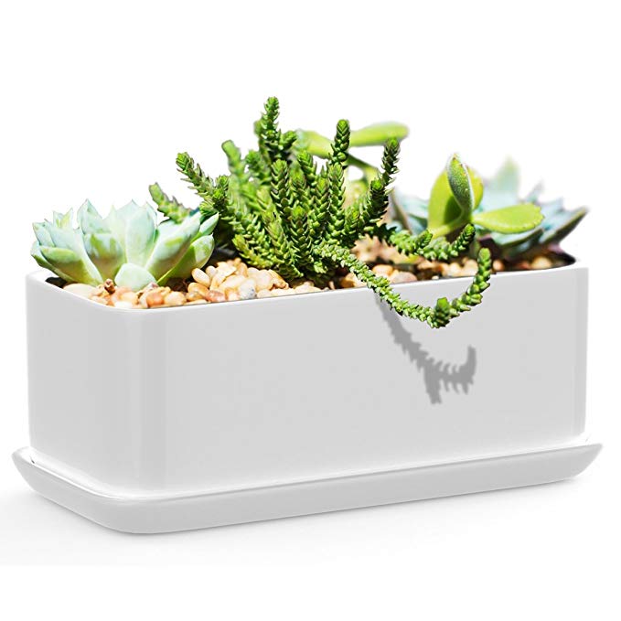 Succulents Choice 10 inch Rectangular White Ceramic Succulent Planter: Modern Design Pot Includes Fitted Saucer With Drain Holes