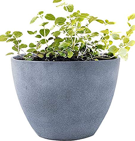 Flower Pot Large 14.2