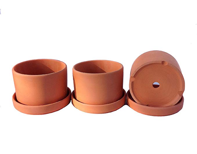 Set of 3 Natural Terracotta Round Fat Walled Garden Planters with Individual Trays. Indoor or Outdoor Use