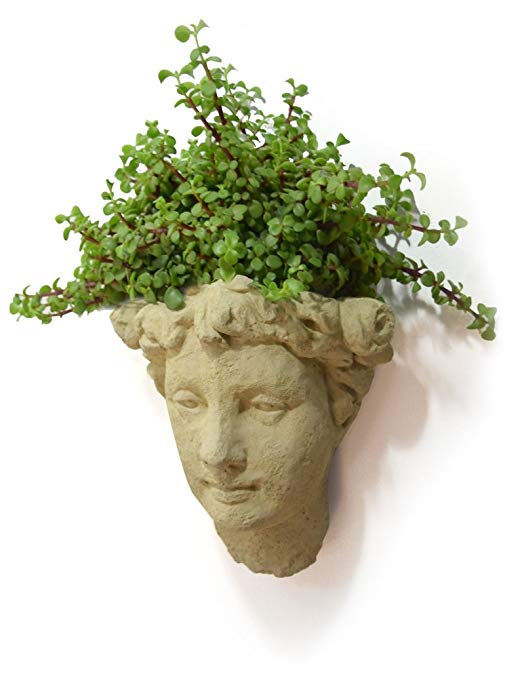 Designer Stone Lady's Head Cast-Stone Wall Planter, Antique Stone Color