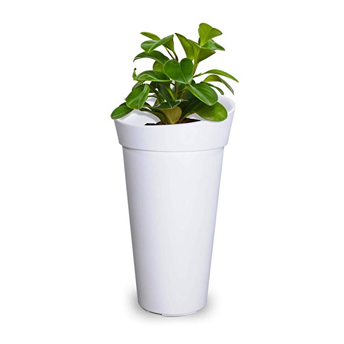 Mayne 5881-W Polyethylene Planter, White