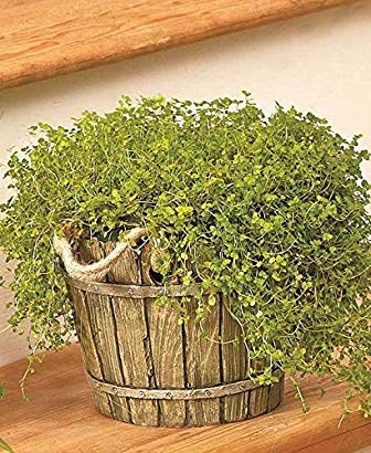 Realistic Small Barrel Planter Flower Pot Rope Handles Garden Patio Plant Decor ,,#id(smartbuy--bizmart (#ATOE19322022057008