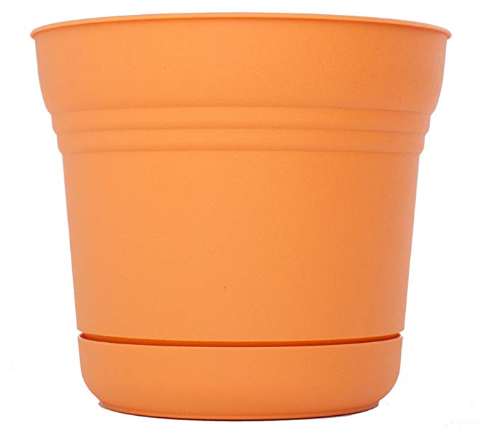 Bloem SP1220 Saturn Planter, 12-Inch, Tequila Sunrise