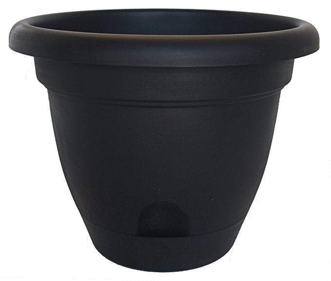 Bloem LP1000 6-Pack Lucca Self Watering Planter, 10-Inch, Black