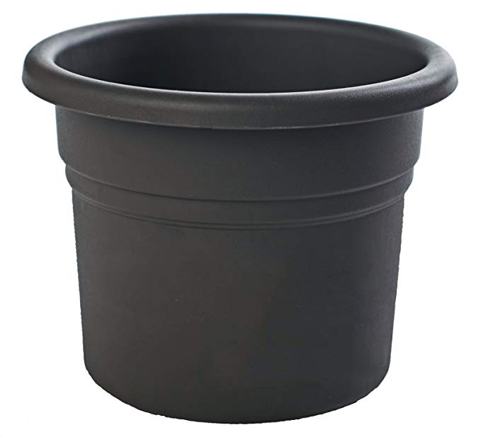 Bloem PP1600 Posy Planter, 16-Inch, Black