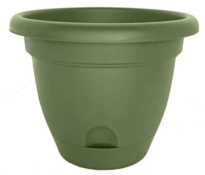 Bloem LP1242-6 Lucca Planter, 12-Inch, Living Green, 6-Pack