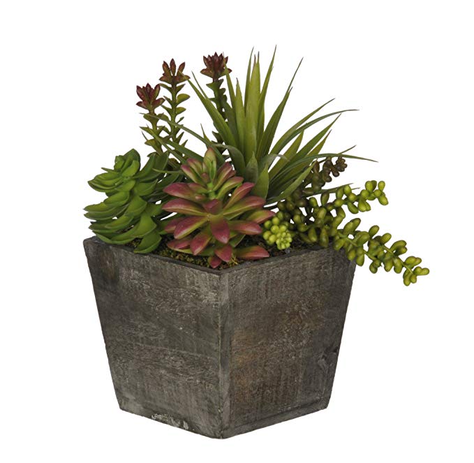 House of Silk Flowers Artificial Succulent Garden in Small Grey-Wash Wood