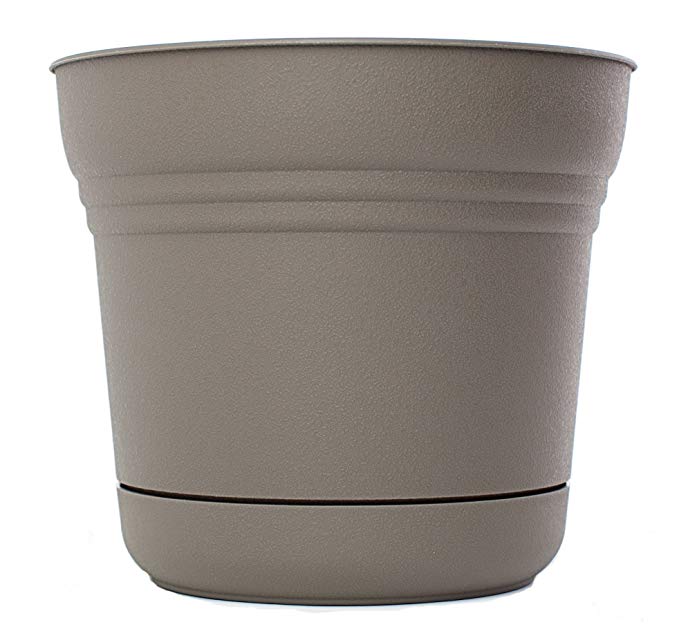 Bloem SP0560-12 12-Pack Saturn Planter, 5-Inch, Peppercorn