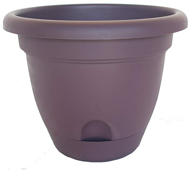 Bloem Living LP1656 Lucca Self-Watering Planter, 16-Inch, Exotica