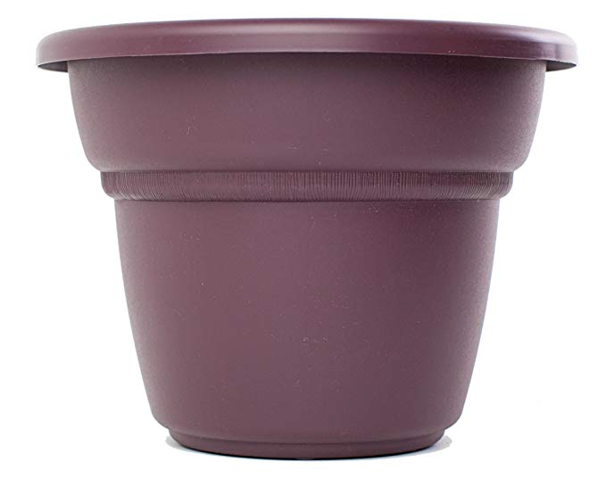 Bloem MP1417-56 Milano Planter, 18-Inch, Exotica