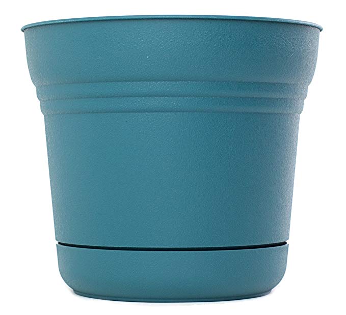 Bloem SP0748-12 12-Pack Saturn Planter, 7-Inch, Turbulent