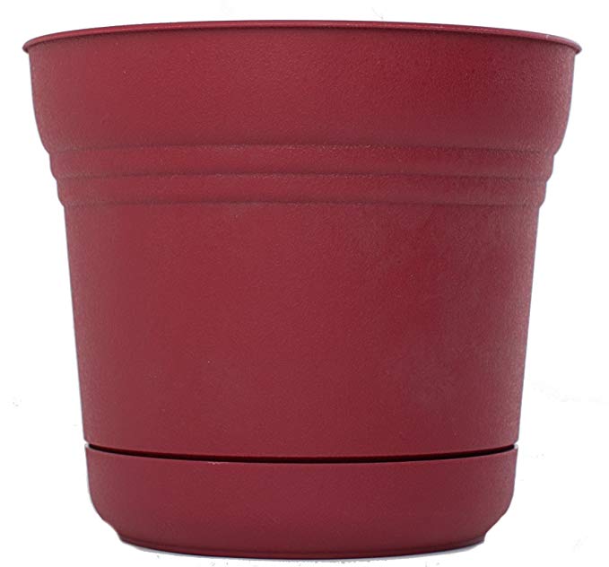 Bloem SP0512-12 12-Pack Saturn Planter, 5-Inch, Union Red