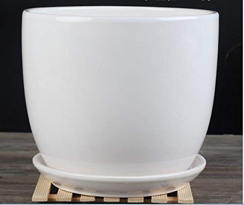 Ceramic Pure White Modern Home/ Garden Round Flower Planter Pot with Saucer Tray Medium