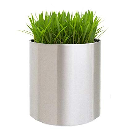 Brushed Stainless Steel Planter - 12