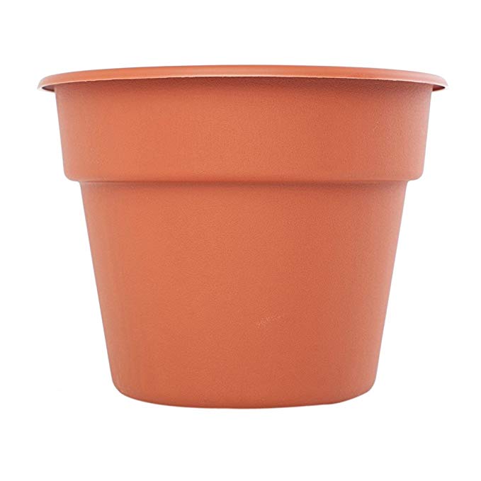 Dura Cotta Round Pot Planter (Set of 24) Color: Terra Cotta, Size: 5.25