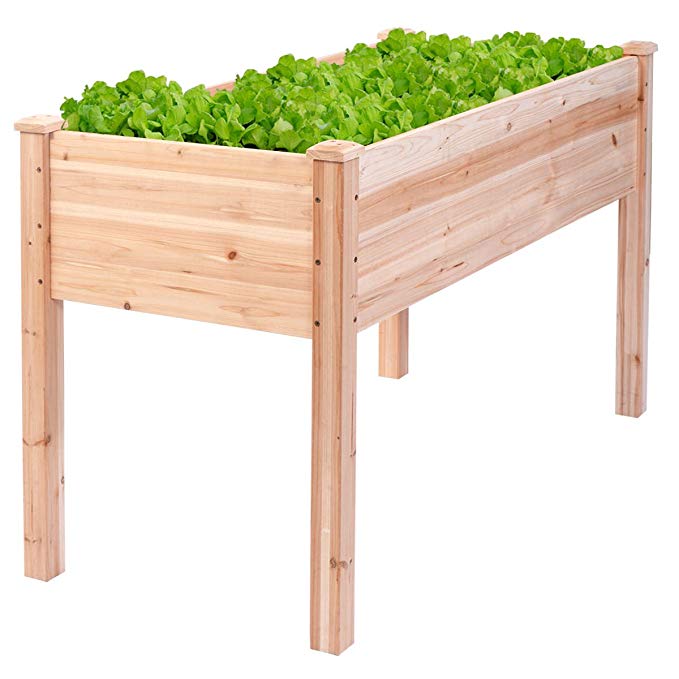 Wooden Raised Vegetable Garden Bed Elevated Planter Kit Grow Gardening