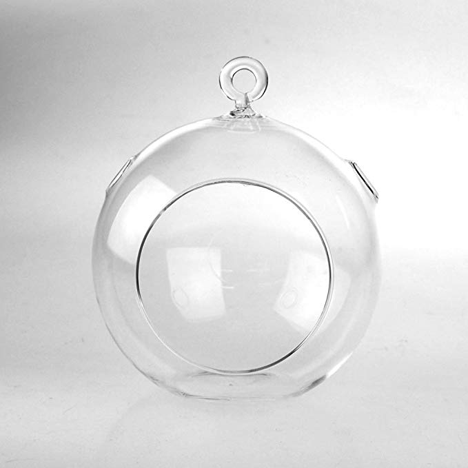 Clear Glass Globe Terrarium Air Plant Candle Holder, Height 5-Inch, 6-Pack