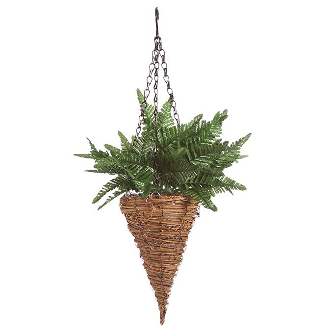 WalterDrake Fully Assembled Fern Cone Basket OakRidgeTM