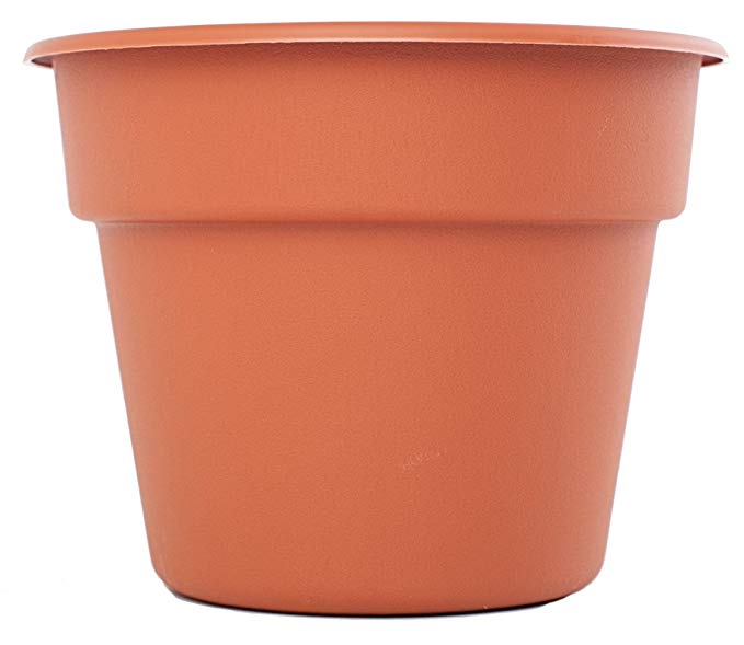 Bloem DC20-46 Dura Cotta Planter, 20-Inch, Terra Cotta