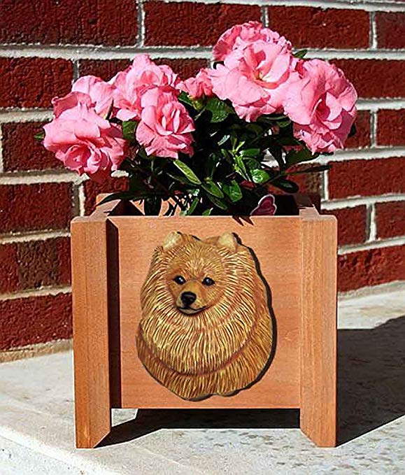 Pomeranian Planter Flower Pot Orange