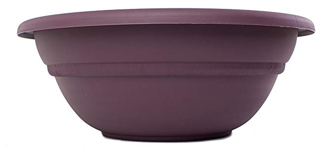 Bloem MB2124-56 Milano Planter Bowl, 24-Inch, Exotica