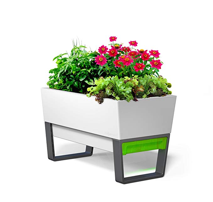 GlowPear Urban Garden Self-Watering Planter