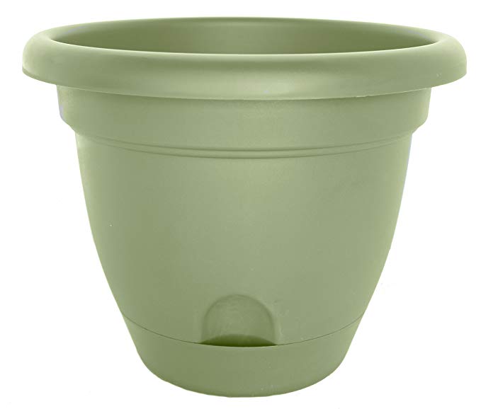 Bloem LP1442 Lucca Planter, 14-inch, Living Green