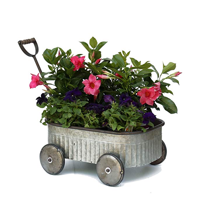 VIP Home & Garden Galvanized Metal Wagon Shaped Garden Planter Container - Vintage Outdoor Decor