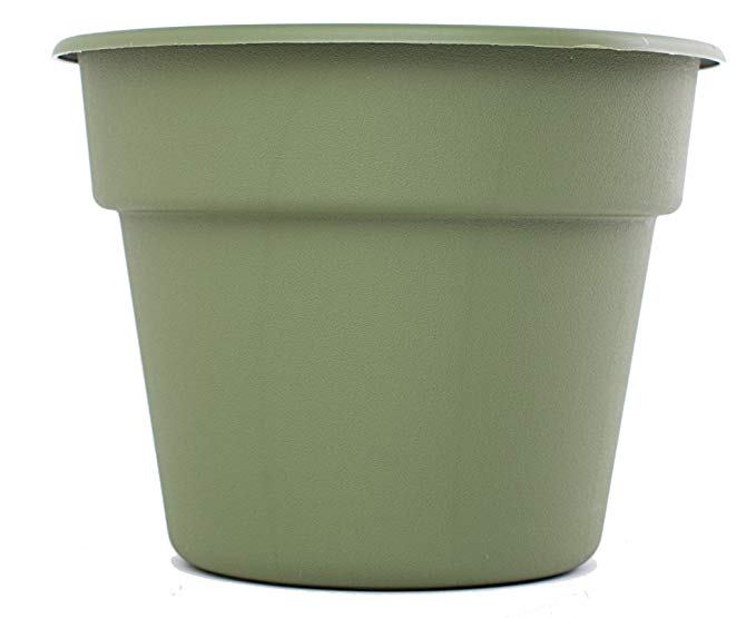 Bloem DC20-42 Dura Cotta Planter, 20-Inch, Living Green