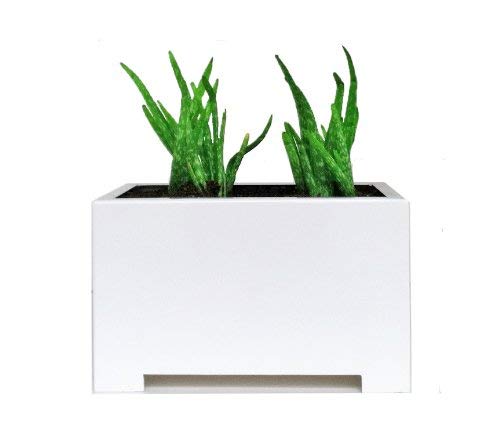 Alora Rectangle Planter - White - 13