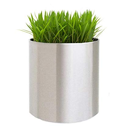Knox Brushed Stainless Steel Planter - 18