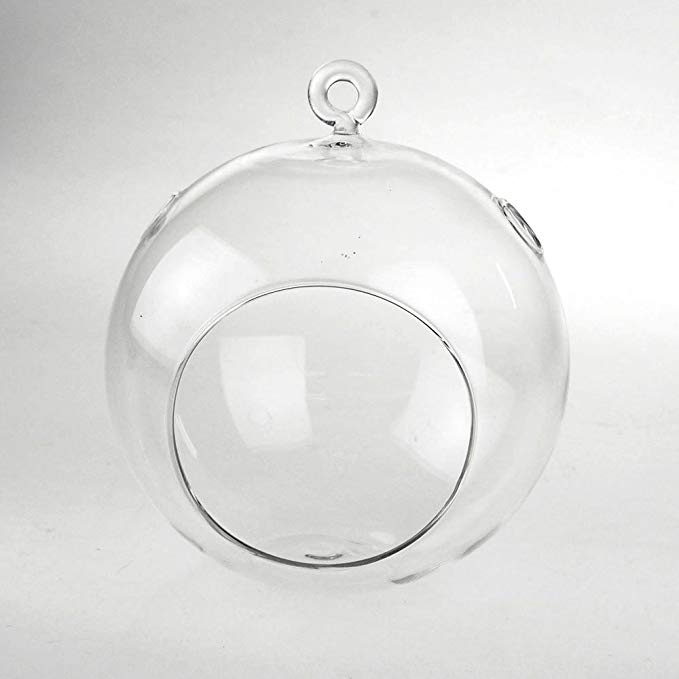 Clear Glass Globe Terrarium Air Plant Candle Holder, Height 6-Inch, 6-Pack