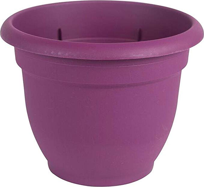 Bloem Ariana 6-inch Planter with Self Watering Grid Purple