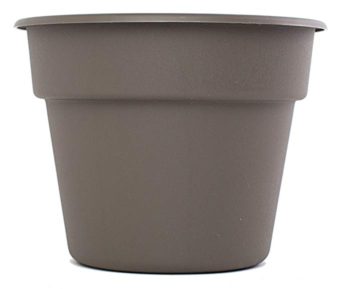 Bloem DC16-60 Dura Cotta Planter, 16-Inch, Peppercorn