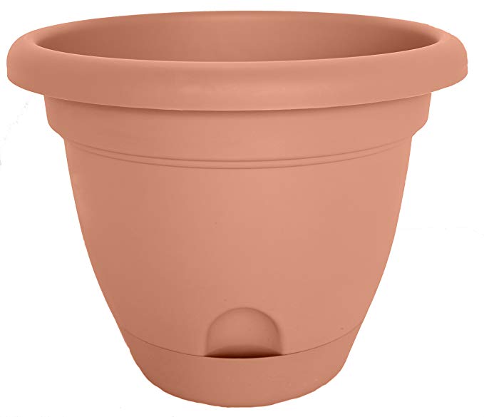 Bloem LP0646-12 Lucca Planter, 6-Inch, Terra Cotta, 12-Pack