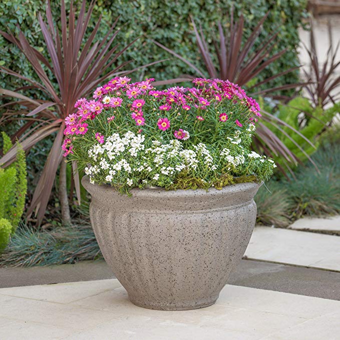 Great Deal Furniture Nicholson Outdoor Taupe Stone Finished Cast Stone Planter